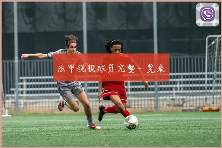 法甲现役球员完整一览表