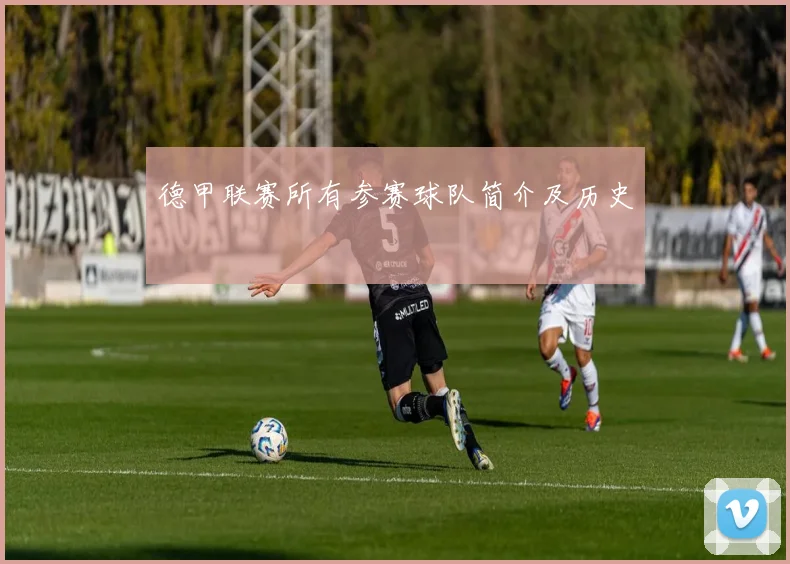 德甲联赛所有参赛球队简介及历史