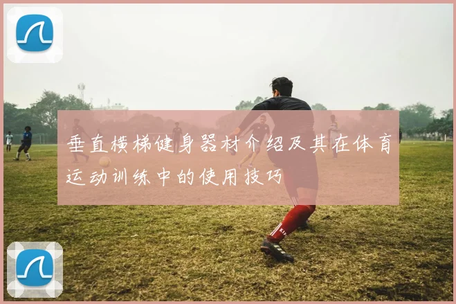 垂直横梯健身器材介绍及其在体育运动训练中的使用技巧